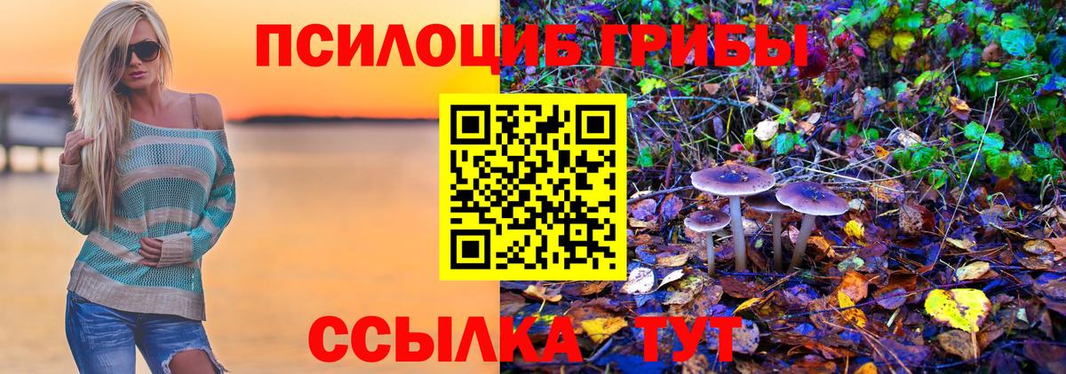 Галлюциногенные грибы Magic Shrooms  Вход с VPN  Сорочинск 